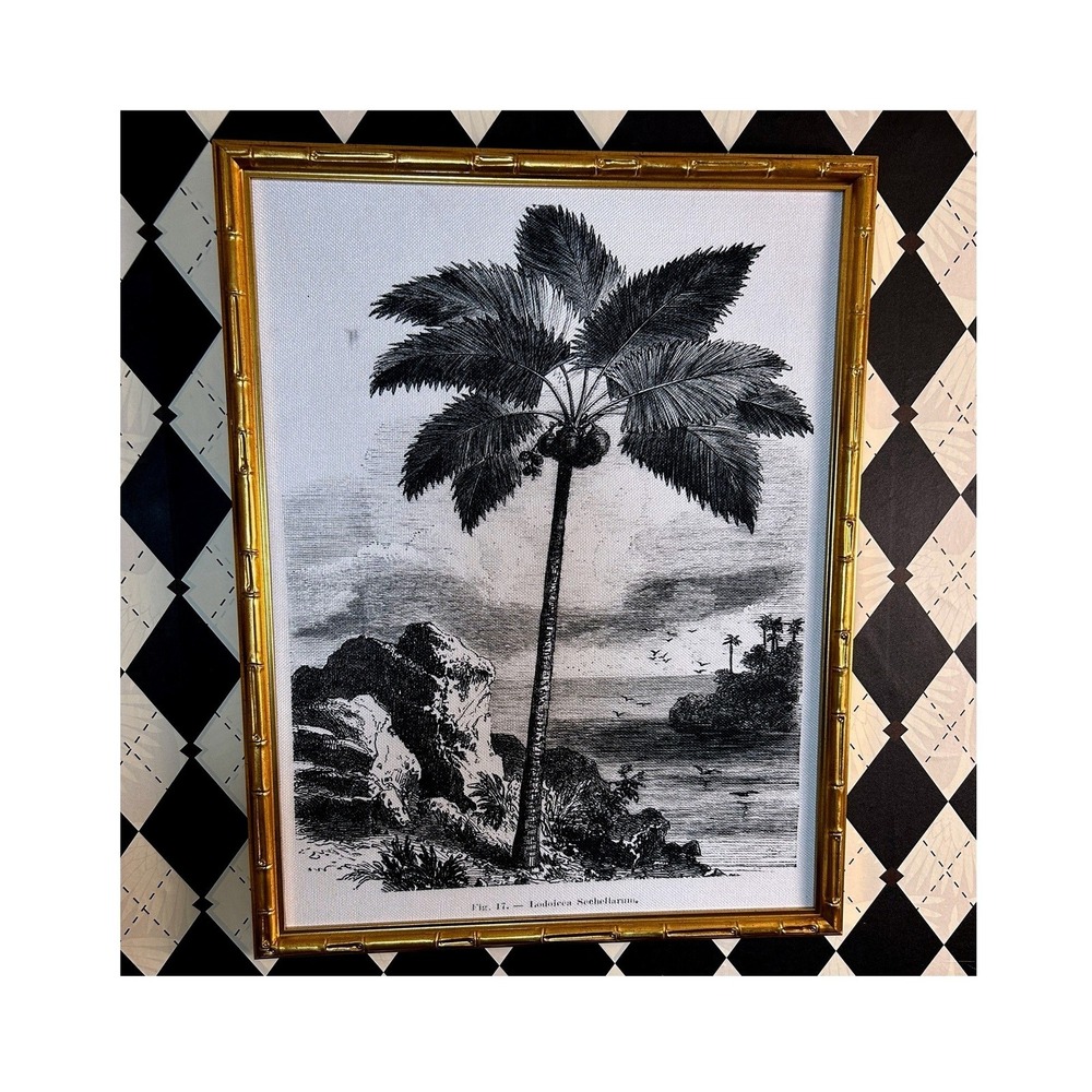 Large Framed Coco de Mer Palm Botanical Print Gold Faux Bamboo Frame 27x22